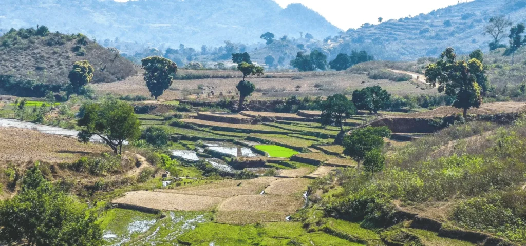 Araku Valley Tour Package – scenic coffee plantations, Borra Caves, tribal culture & hill retrea